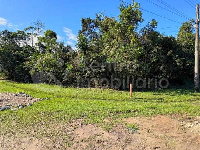 Terreno venda em Peruíbe