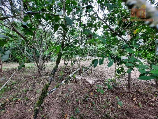 Terreno venda em Região Imediata de Santos, Região Metropolitana da Baixada Santista