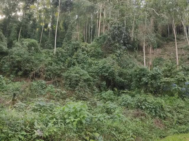 Terreno venda em Região Geográfica Imediata de Petrópolis, Região Metropolitana do Rio de Janeiro