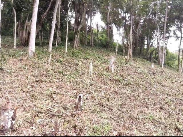 Terreno venda em Região Geográfica Imediata de Petrópolis, Região Metropolitana do Rio de Janeiro