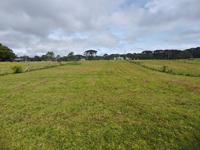 Terreno venda em Piraquara, Região Geográfica Intermediária de Curitiba