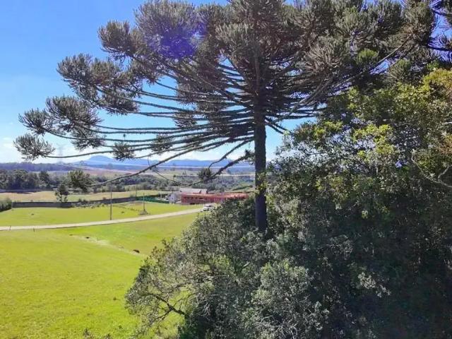 Terreno venda em Região Geográfica Imediata de Curitiba, Região Metropolitana de Curitiba