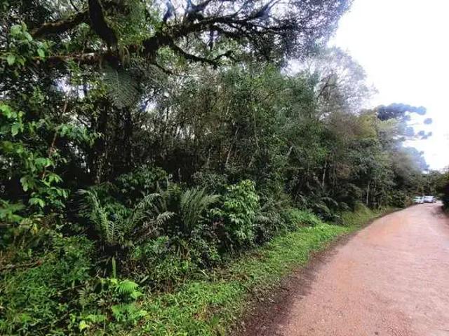 Terreno venda em Piraquara, Região Geográfica Intermediária de Curitiba