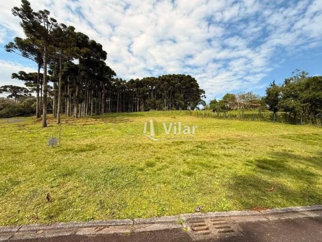 Terreno venda em Piraquara, Região Geográfica Intermediária de Curitiba