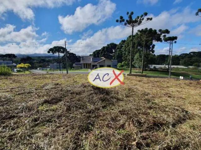 Terreno venda em Piraquara, Região Geográfica Intermediária de Curitiba