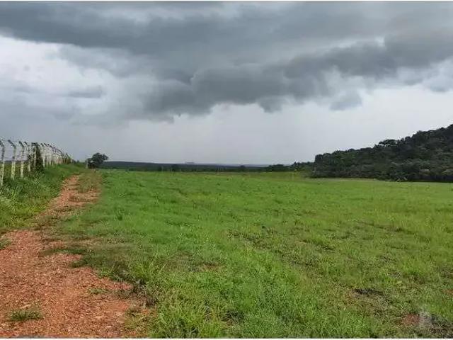 Terreno venda em Região Geográfica Imediata de Ponta Grossa, Ponta Grossa
