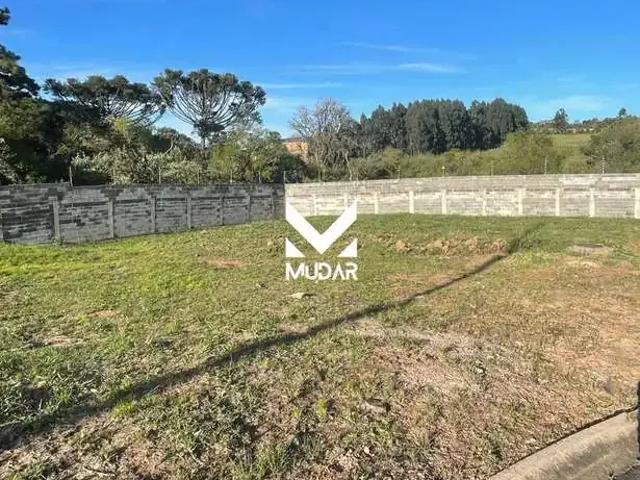 Terreno venda em Uvaranas, Ponta Grossa