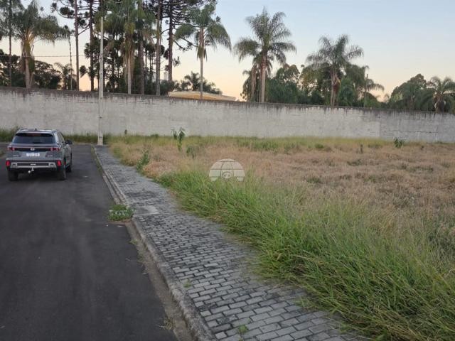Terreno venda em Jardim Carvalho, Ponta Grossa