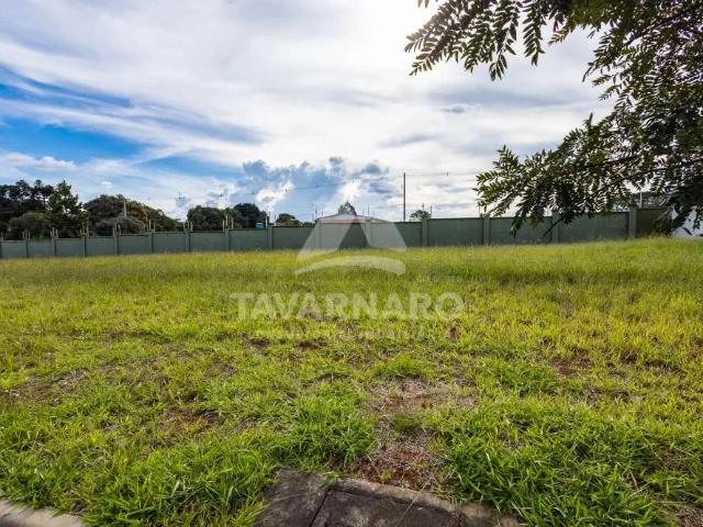 Terreno venda em Condomínio Terras de Alphaville, Ponta Grossa