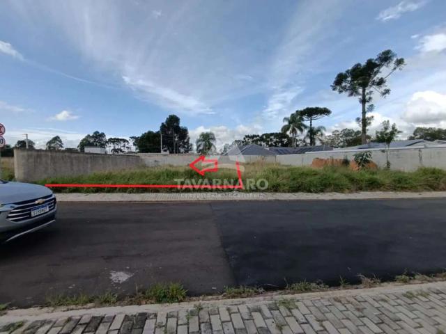Terreno venda em Vila Vilela, Ponta Grossa