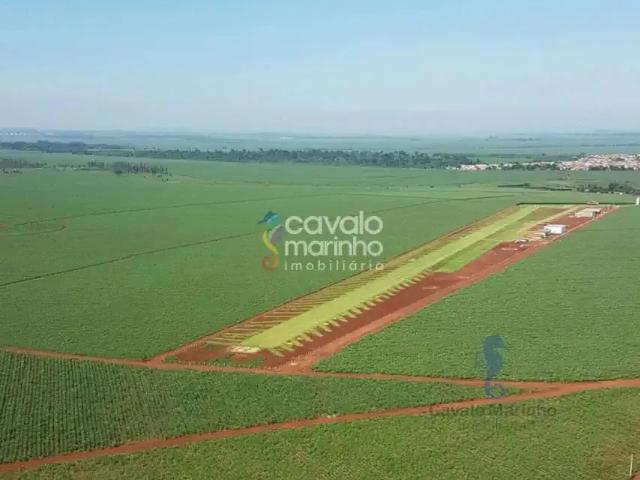 Terreno venda em Pontal