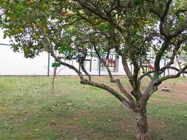 Terreno venda em Região Geográfica Imediata de Porto Alegre, Região Metropolitana de Porto Alegre