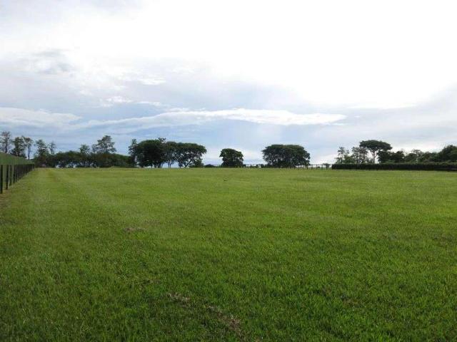 Terreno venda em Vila Maria, Porto Feliz