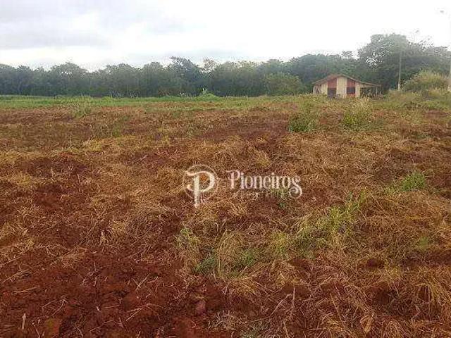 Terreno venda em Região Geográfica Imediata de Londrina, Primeiro de Maio