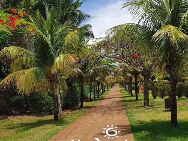 Terreno venda em Ibiaci, Primeiro de Maio