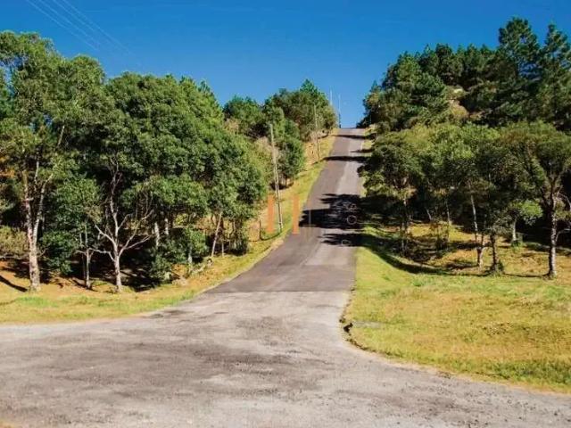 Terreno venda em Região Geográfica Imediata de Florianópolis, Pouso Redondo