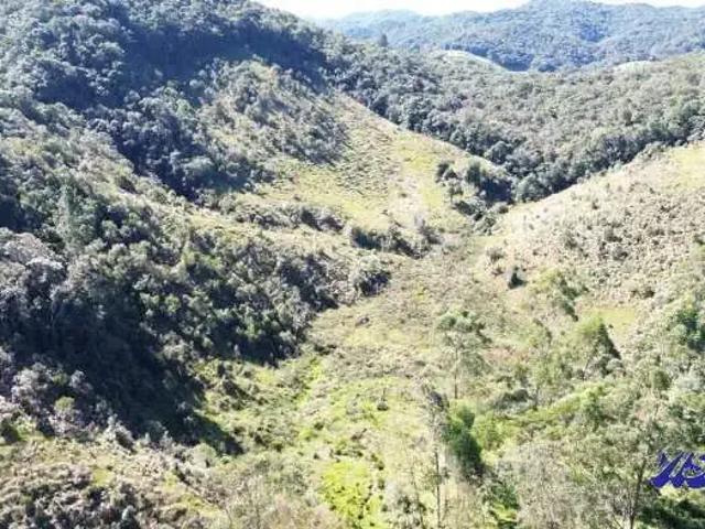Terreno venda em Região Geográfica Imediata de Novo Hamburgo - São Leopoldo, Região Metropolitana de Porto Alegre