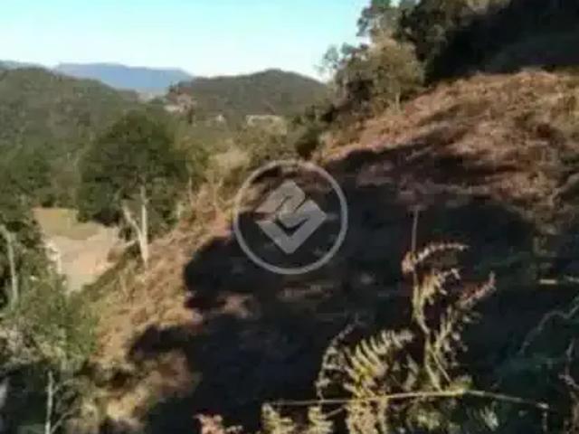 Terreno venda em Região Geográfica Imediata de Videira, Rio das Antas