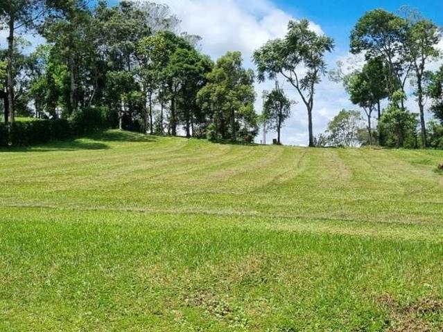 Terreno venda em Região Geográfica Imediata de Florianópolis, Pouso Redondo
