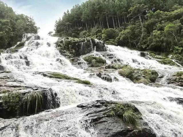 Terreno venda em Região Geográfica Imediata de Florianópolis, Pouso Redondo