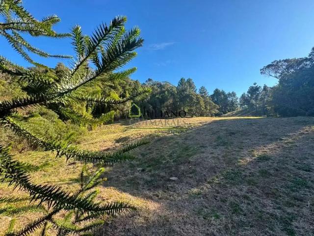 Terreno venda em Região Geográfica Imediata de Florianópolis, Pouso Redondo