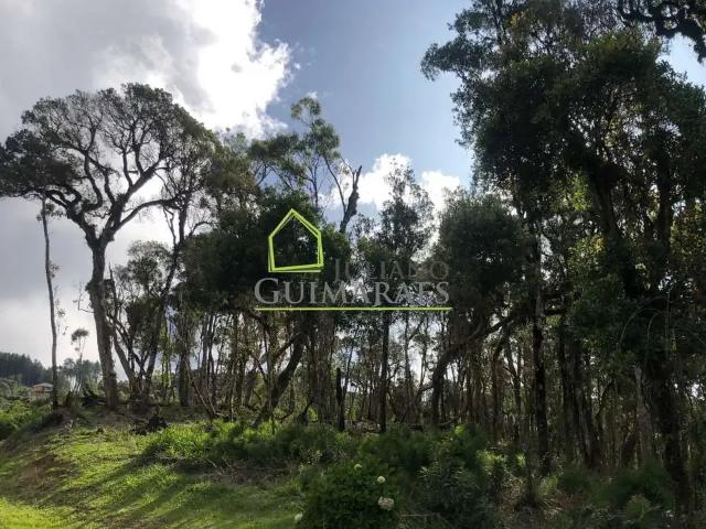 Terreno venda em Região Geográfica Imediata de Florianópolis, Pouso Redondo