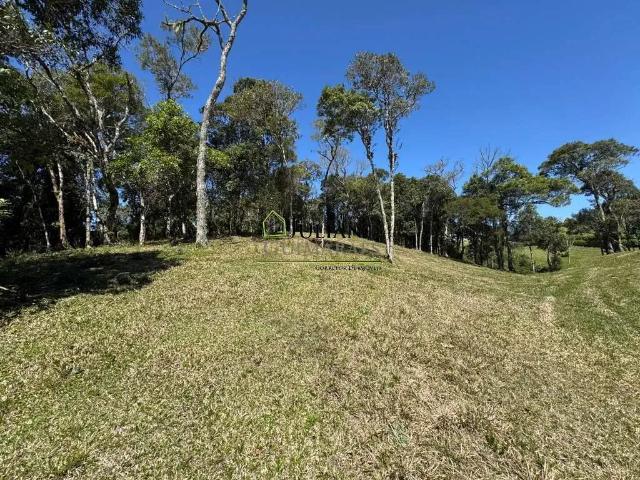 Terreno venda em Região Geográfica Imediata de Florianópolis, Pouso Redondo