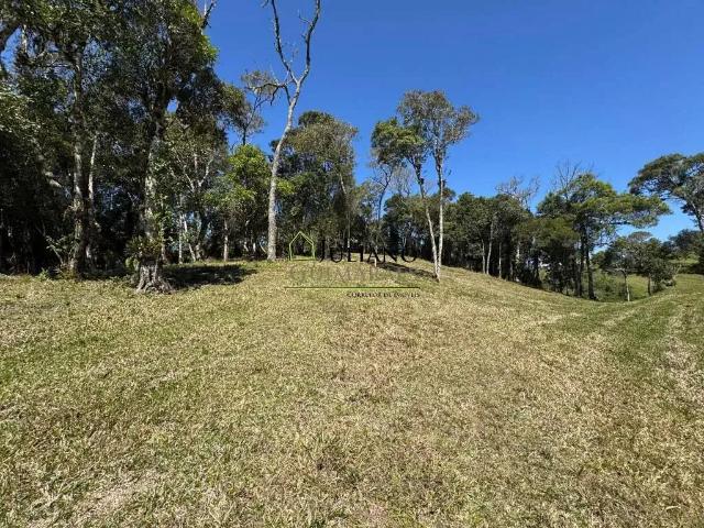 Terreno venda em Região Geográfica Imediata de Florianópolis, Pouso Redondo