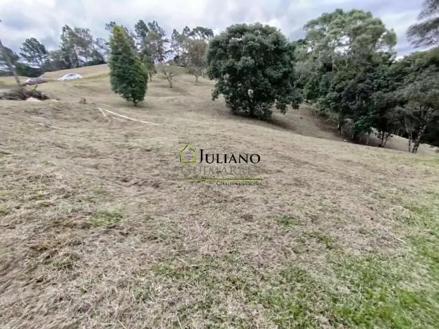 Terreno venda em Região Geográfica Imediata de Florianópolis, Pouso Redondo