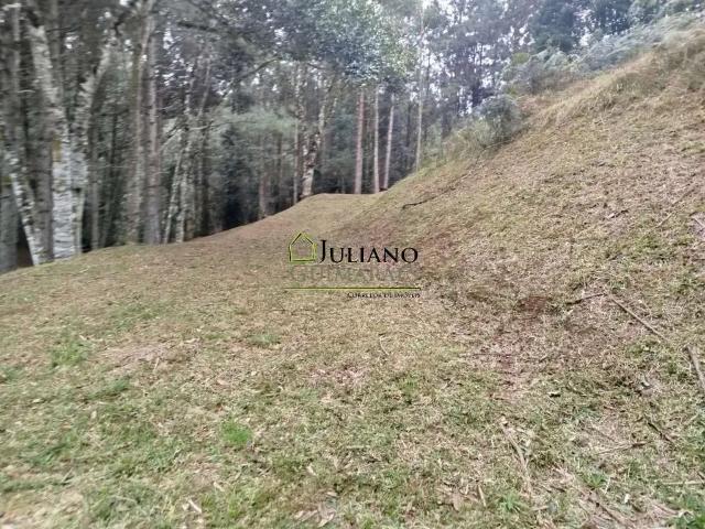 Terreno venda em Região Geográfica Imediata de Florianópolis, Pouso Redondo