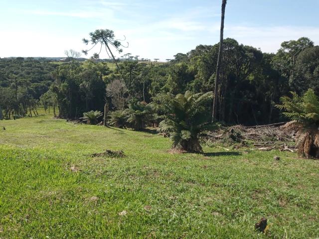 Terreno venda em Rancho Queimado, Região Geográfica Intermediária de Florianópolis