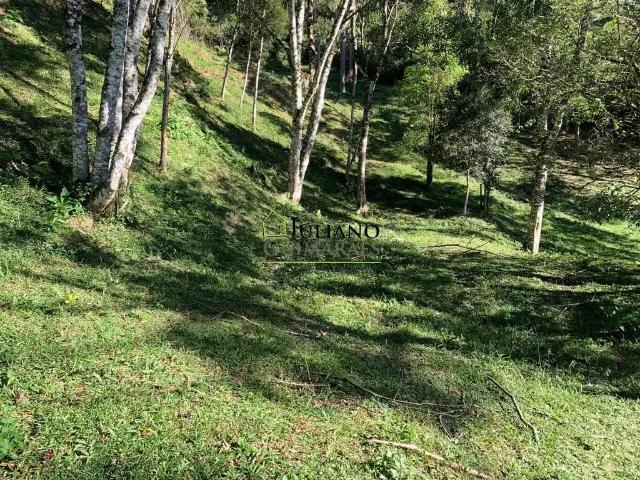 Terreno venda em Região Geográfica Imediata de Florianópolis, Pouso Redondo