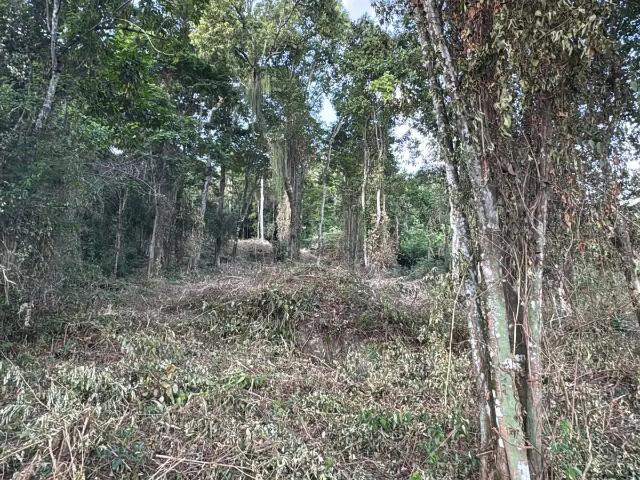Terreno venda em Região Geográfica Imediata do Rio de Janeiro, Região Metropolitana do Rio de Janeiro