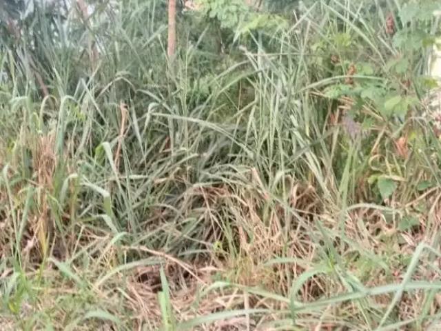 Terreno venda em Região Geográfica Imediata do Rio de Janeiro, Região Metropolitana do Rio de Janeiro