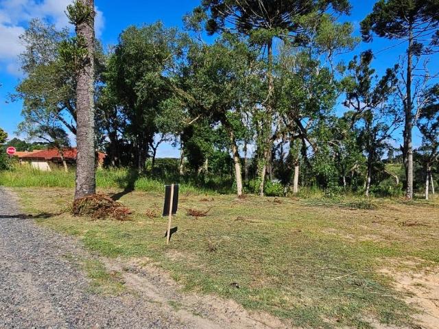 Terreno venda em Região Geográfica Imediata de São Bento do Sul-Rio Negrinho, Rio Negrinho
