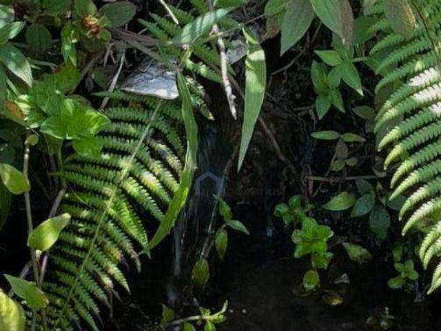 Terreno venda em São Bento do Sapucaí