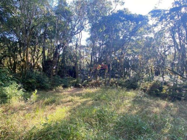 Terreno venda em Região Geográfica Imediata de Santa Bárbara - Ouro Preto, Ouro Preto