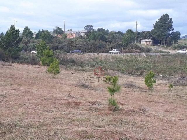 Terreno venda em Região Geográfica Imediata de Caxias do Sul, São Francisco de Paula