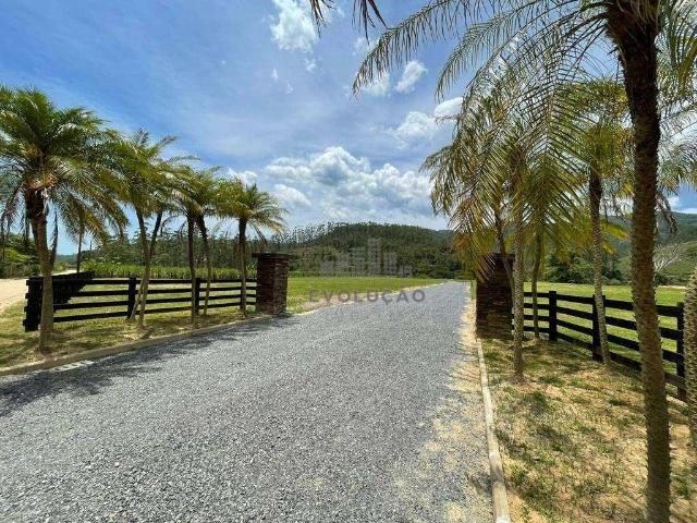 Terreno venda em São João Batista, Centro
