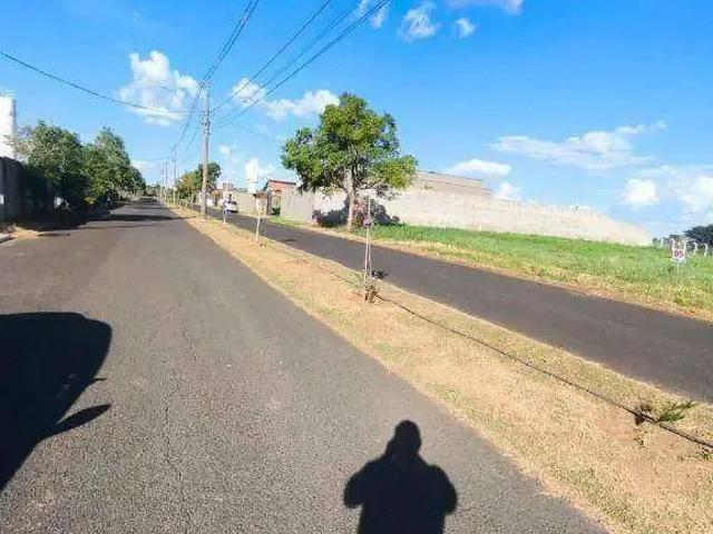 Terreno venda em São José do Rio Preto