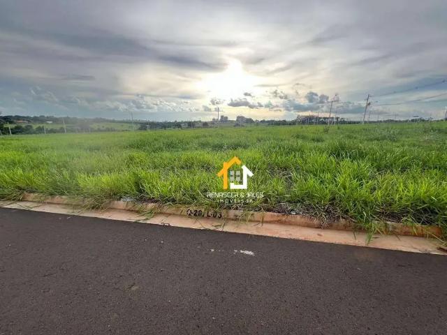 Terreno venda em São José do Rio Preto