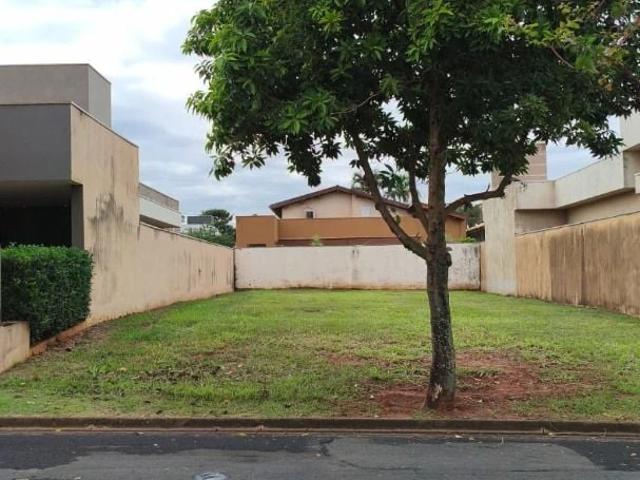 Terreno venda em São José do Rio Preto