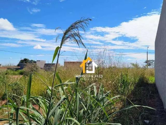 Terreno venda em São José do Rio Preto
