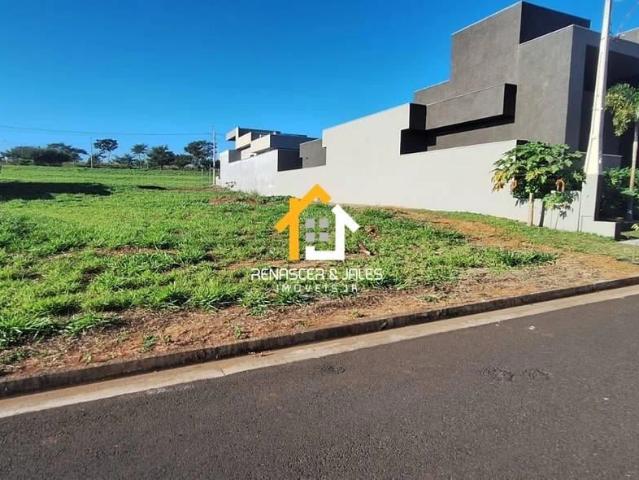 Terreno venda em São José do Rio Preto