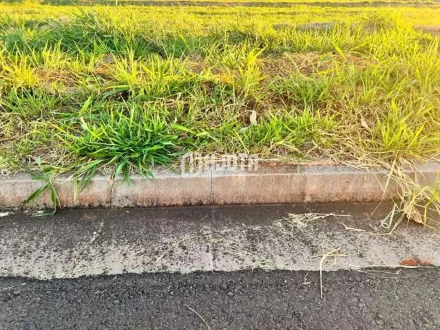 Terreno venda em Região Imediata de São José do Rio Preto, Região Metropolitana de São José do Rio Preto