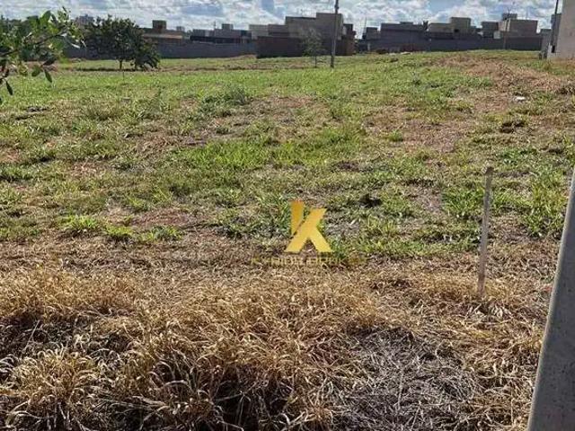 Terreno venda em São José do Rio Preto