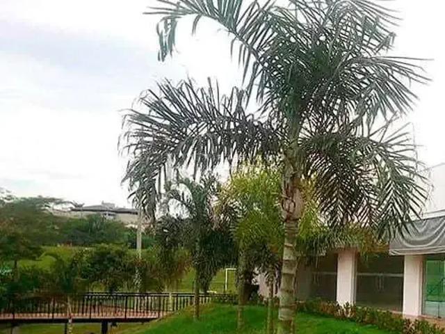 Terreno venda em Região Imediata de São José do Rio Preto, Região Metropolitana de São José do Rio Preto