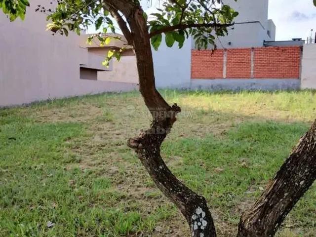 Terreno venda em Região Imediata de São José do Rio Preto, Região Metropolitana de São José do Rio Preto