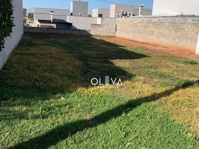 Terreno venda em São José do Rio Preto