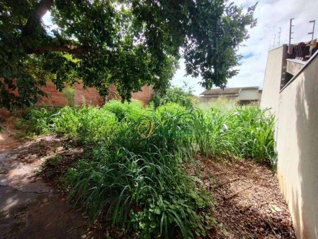 Terreno venda em Região Imediata de São José do Rio Preto, Região Metropolitana de São José do Rio Preto